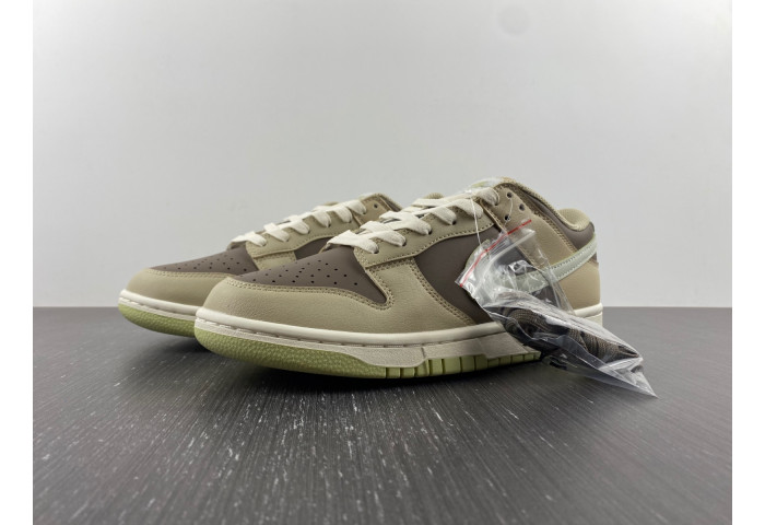 Nike Dunk Low Olive Grey Sail Rattan FB4961-012