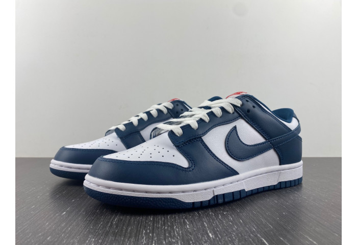 Nike Dunk Low Valerian Blue - DD1391-400