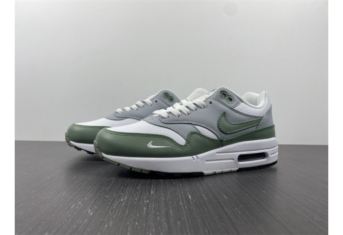 Nike Air Max 1 Spiral Sage - DB5074-100
