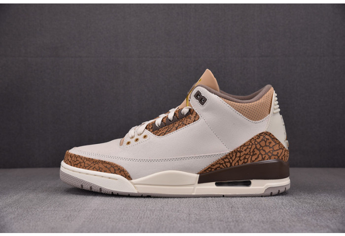 Air Jordan 3 Retro Palomino - CT8532-102