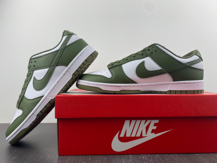 Nike Dunk Low Medium Olive  - DD1503-120