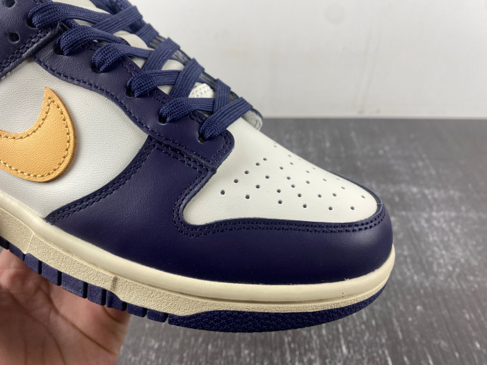 Nike Dunk Low Retro FV8106-181