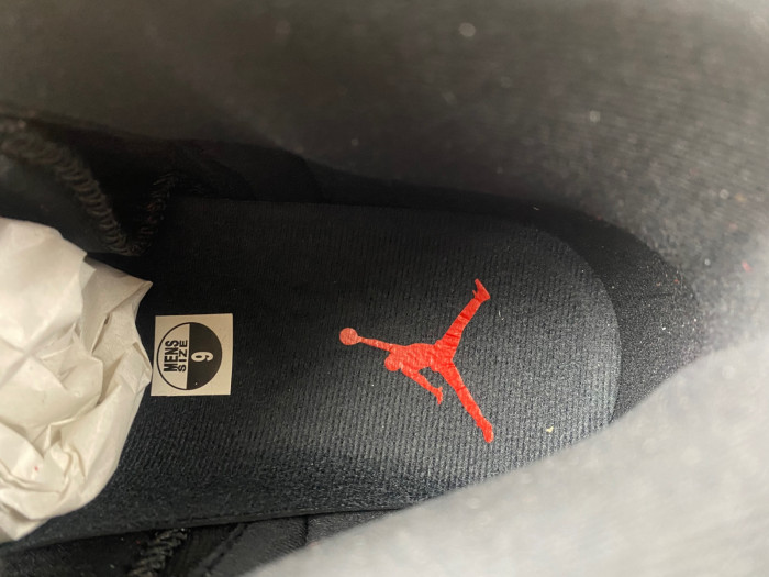 Air Jordan 12 "Flu Game" 2025 CT8013-060