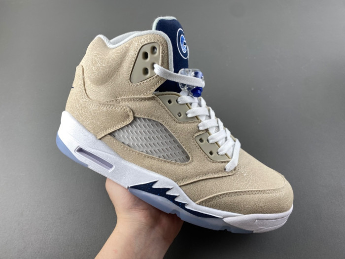 Air Jordan Air Jordan 5 Retro