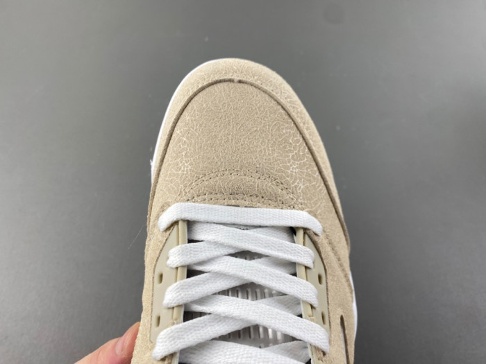 Air Jordan Air Jordan 5 Retro