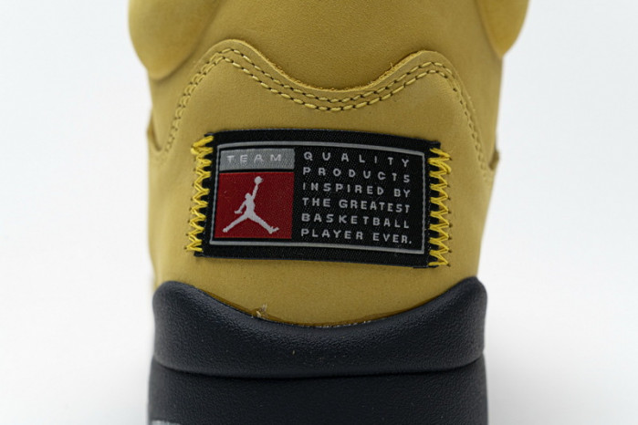 Air Jordan 5 Retro T23 