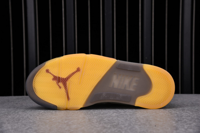 AIR JORDAN 5 SAIL DH8565-100