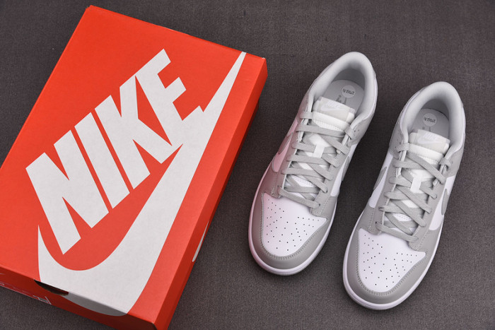 Nike Dunk Low Grey Fog DD1391-103