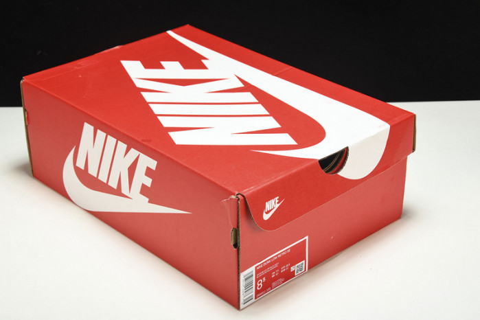 Nike Dunk Low World Champ DR9511-100