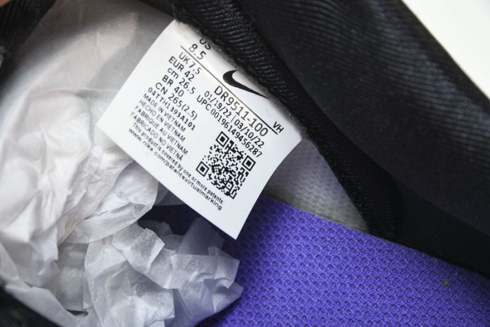 Nike Dunk Low World Champ DR9511-100