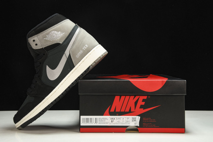 Air Jordan 1 GORE-TEX DB2889-001