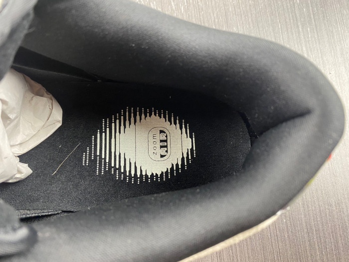 Nike Dunk PARIS MENS SPORTS 308270-111