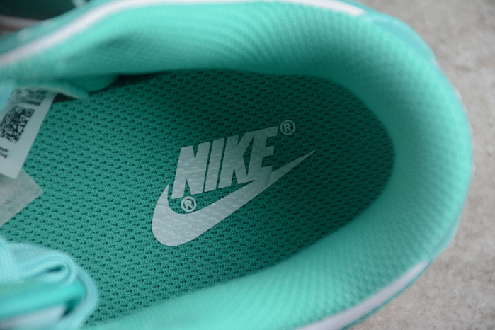 Nike Dunk Low White Turquoise (W) - DV2190-100