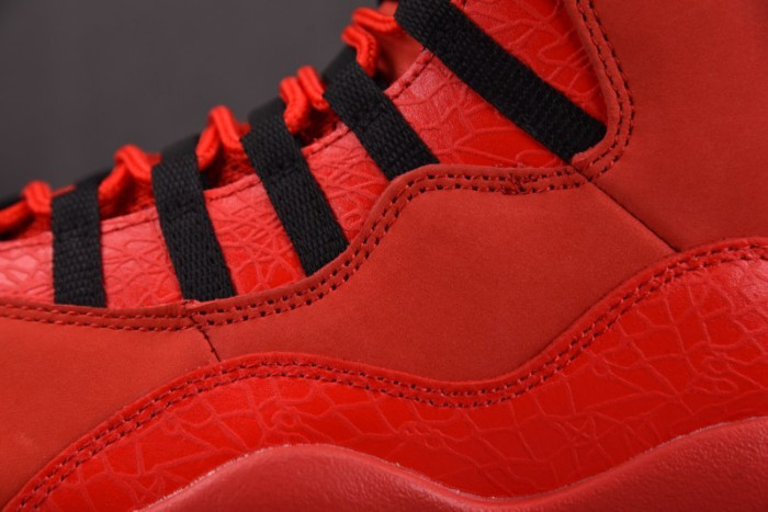 Steve Wiebe x Air Jordan 10 Retro 