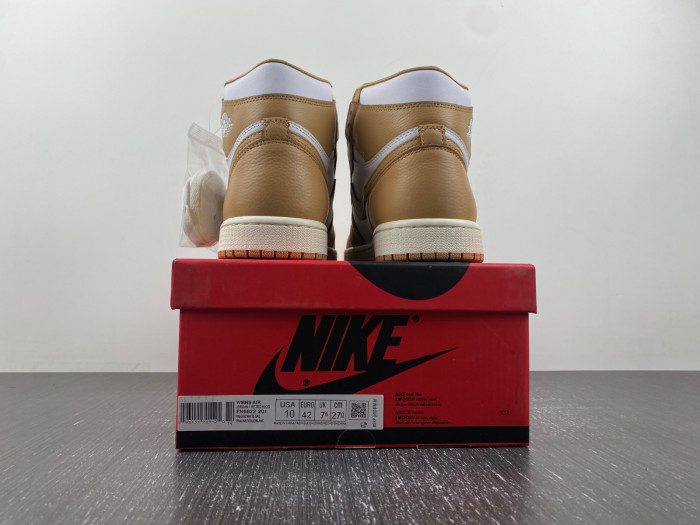 Air Jordan 1 High OG WMNS “Praline” -- FN6622-201