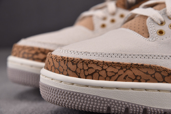 Air Jordan 3 Retro Palomino - CT8532-102